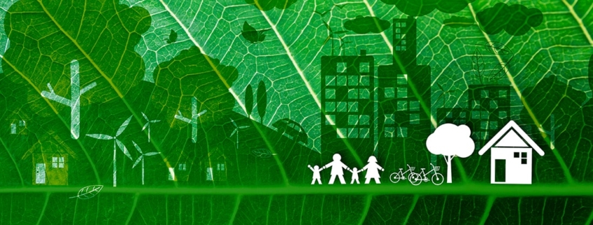 Cómo ayudar al medioambiente llevando una vida ecológica