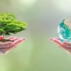Día Mundial del Medioambiente: cómo cuidar nuestro planeta