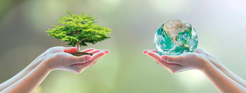 Día Mundial del Medioambiente: cómo cuidar nuestro planeta