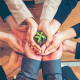 5 consejos para volver a tu empresa más sustentable