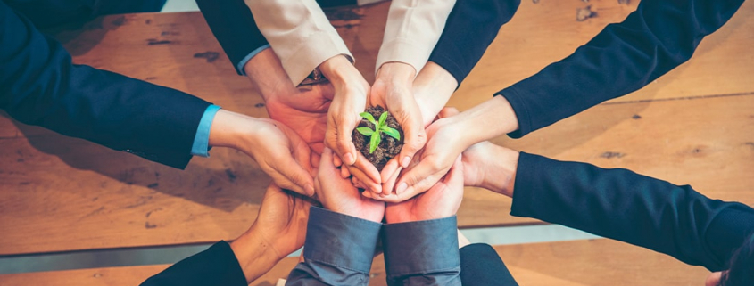 5 consejos para volver a tu empresa mas sustentable