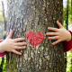 Amor y ambiente