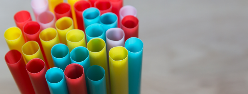 Blog Popotes plásticos los verdaderos depredadores.Pituche