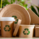 desechables biodegradables en queretaro