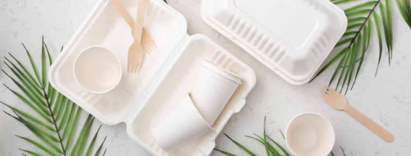 Platos y Vasos Desechables Biodegradables