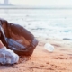 el papel de los desechables en la conservación marina